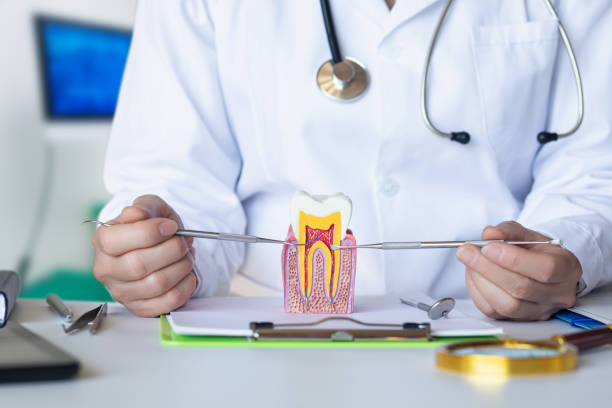 Best Urgent Dental Care for Toothaches in Lexington, IL